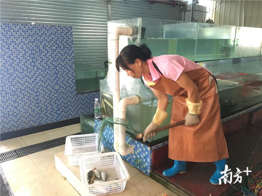 多地异常增水海水倒灌现象引发关注，生活趣事与温情依旧相伴