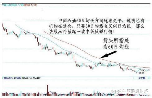一码定乾坤，精准预测决策信息——日月神抵PAL411.11
