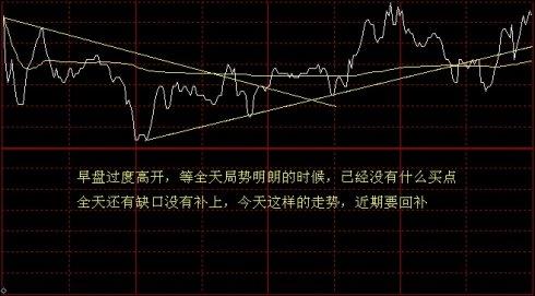 2024新奥免费看的资料,综合判断解析解答_四象境VZH338.53