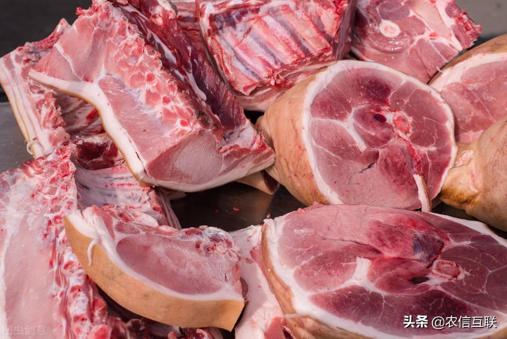 白条猪肉价格走势