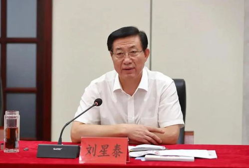 市委书记被查，曾任落马省委书记秘书，背景揭秘与事件进展观察