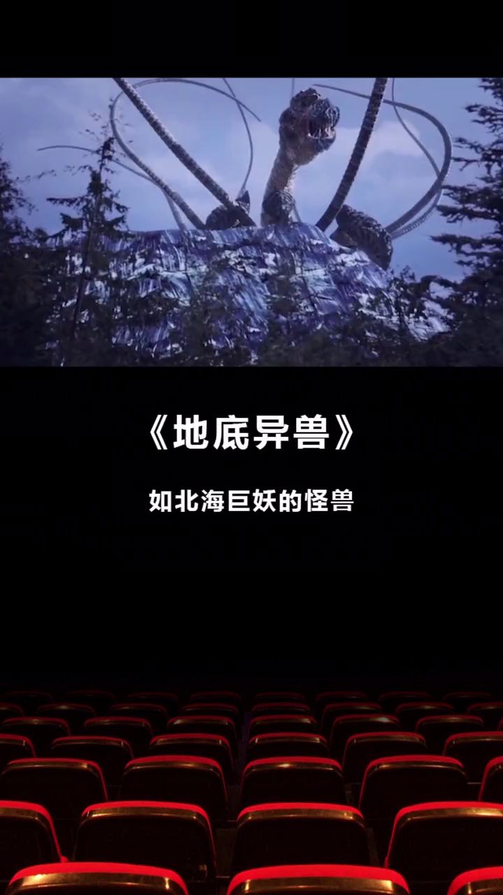 2020最新电影，视觉盛宴的深度探讨