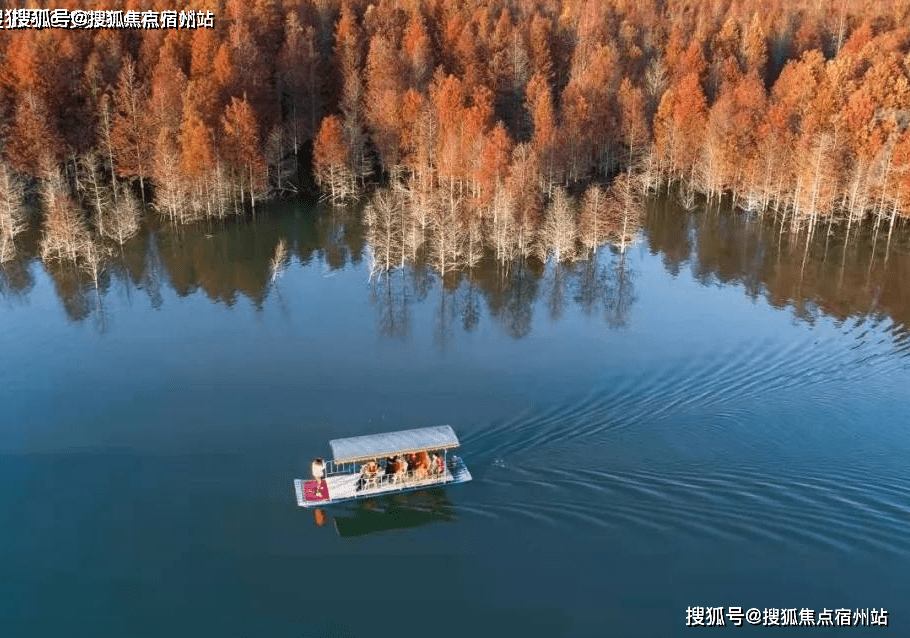 在线91最新,在线91最新，一场自然美景的心灵之旅，探寻平静的力量