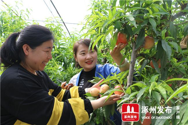 涿州最新消息，温馨故事正在上演
