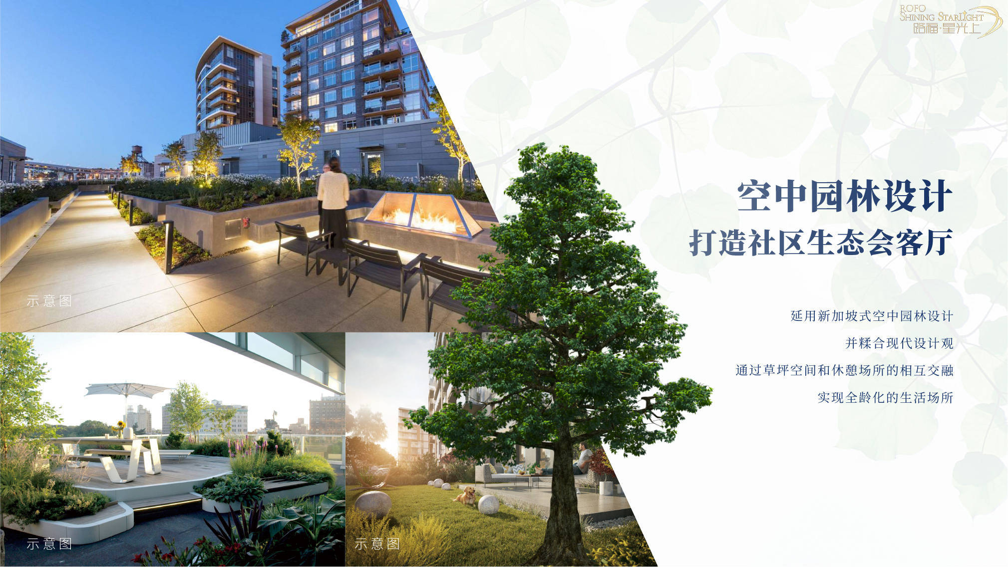 心衰药物最新进展，希望之光照亮治疗之路，创新药物引领心衰治疗新纪元