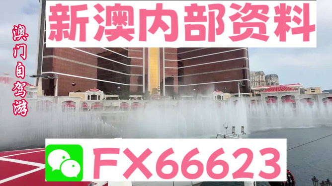 新澳内部资料精准一码，最新核心解答落实_VIP20.20.78