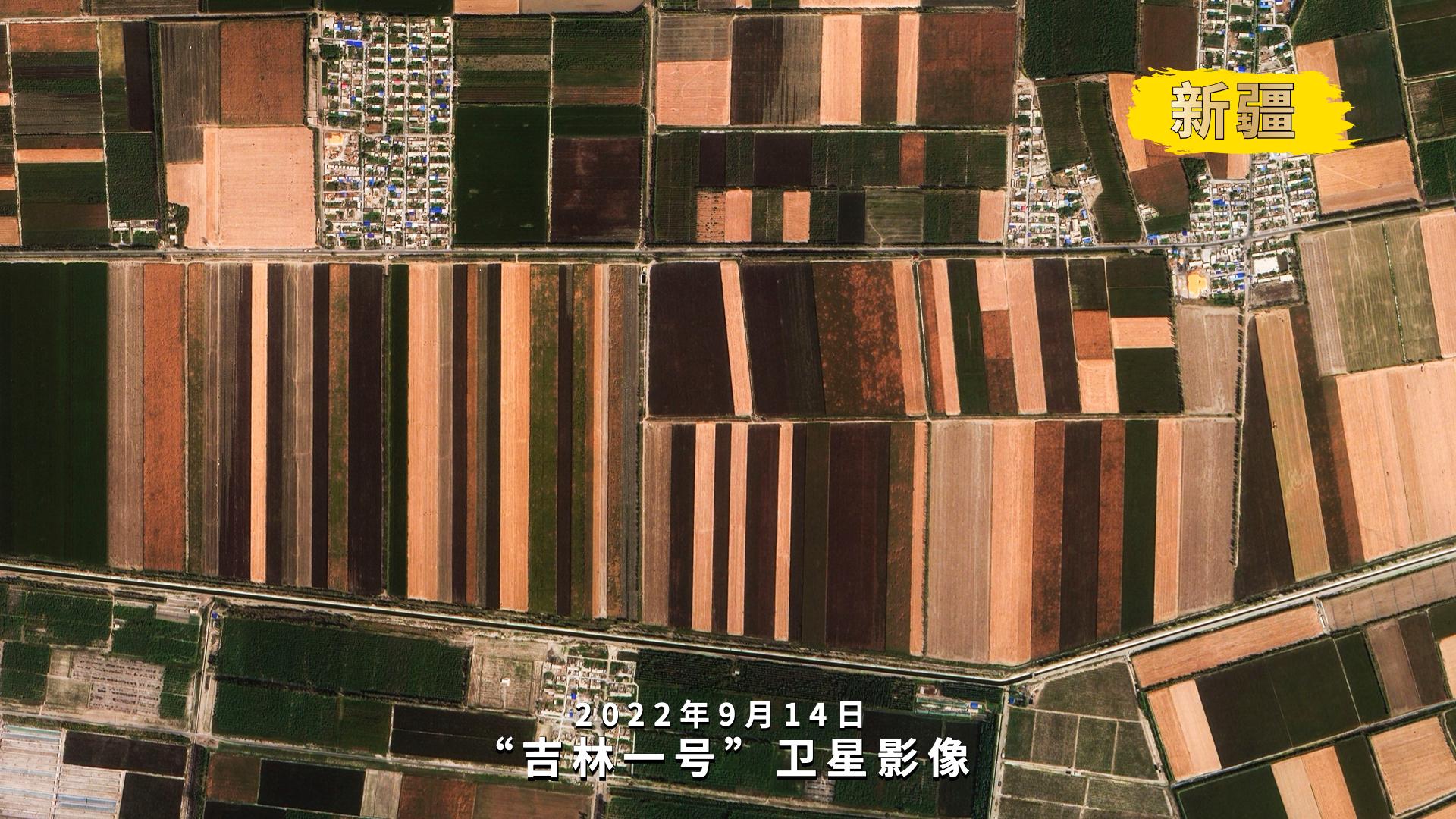 农业丰收体验之旅，一年好丰景，30秒速览美景盛况