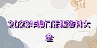 2023澳门正版资料免费公开,科学说明解析_灵动版87.563