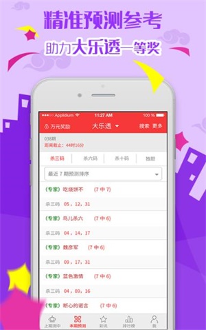 新澳天天彩免费资料大全的特点,效率资料解释定义_上市版96.274