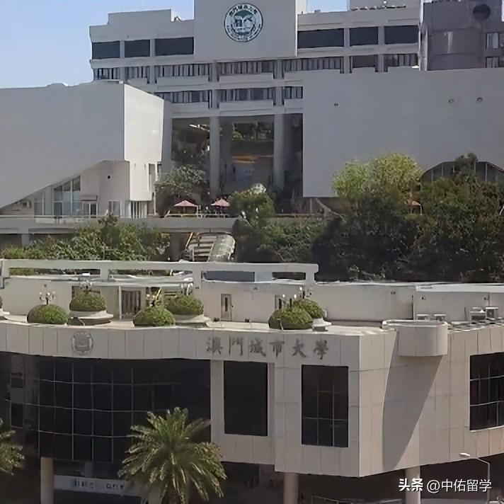 澳门一码一码100准确2024,表达解答解释落实_FHD62.195