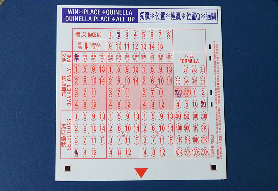 7777788888马会传真,权威评估现象解释解答_延续版28.465