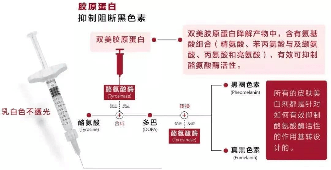 7777788888王中王传真,整体讲解规划_RP12.36