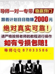 澳门天天彩精准免费资料大全,准时解答解释落实_完整集91.365