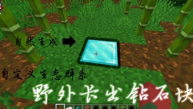 炸金花最新版，自然美景探险之旅，探寻内心的平和与宁静