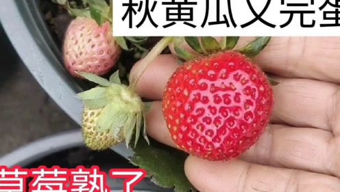 山东汇搜网络技 第1097页
