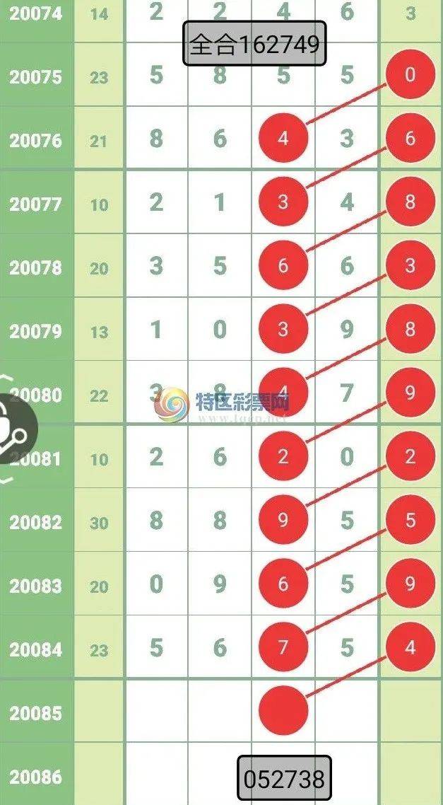 新澳天天彩正版免费资料观看,最新说明解析答案_标配制10.386