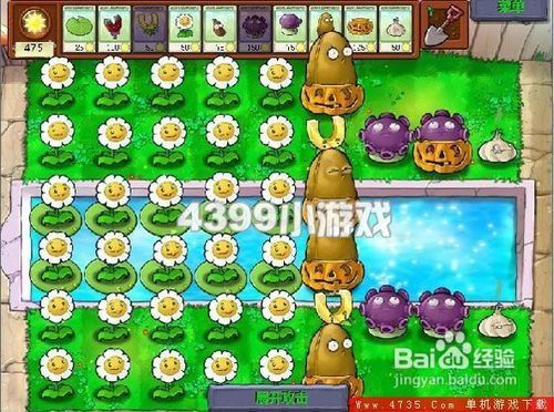 植物大战僵尸最新版本攻略，初学者与进阶用户的详细步骤指南