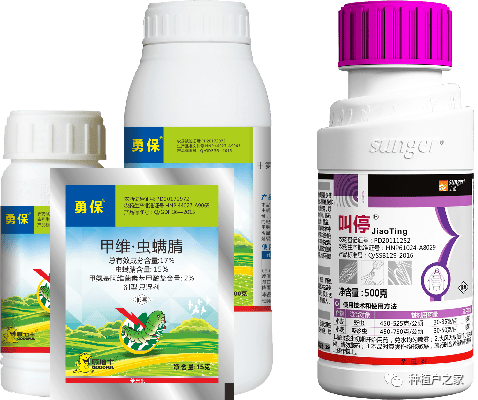 最新农药杀虫剂，告别害虫困扰，保护绿色家园🌱