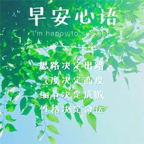 阳光下的温馨日常，最新早安心语