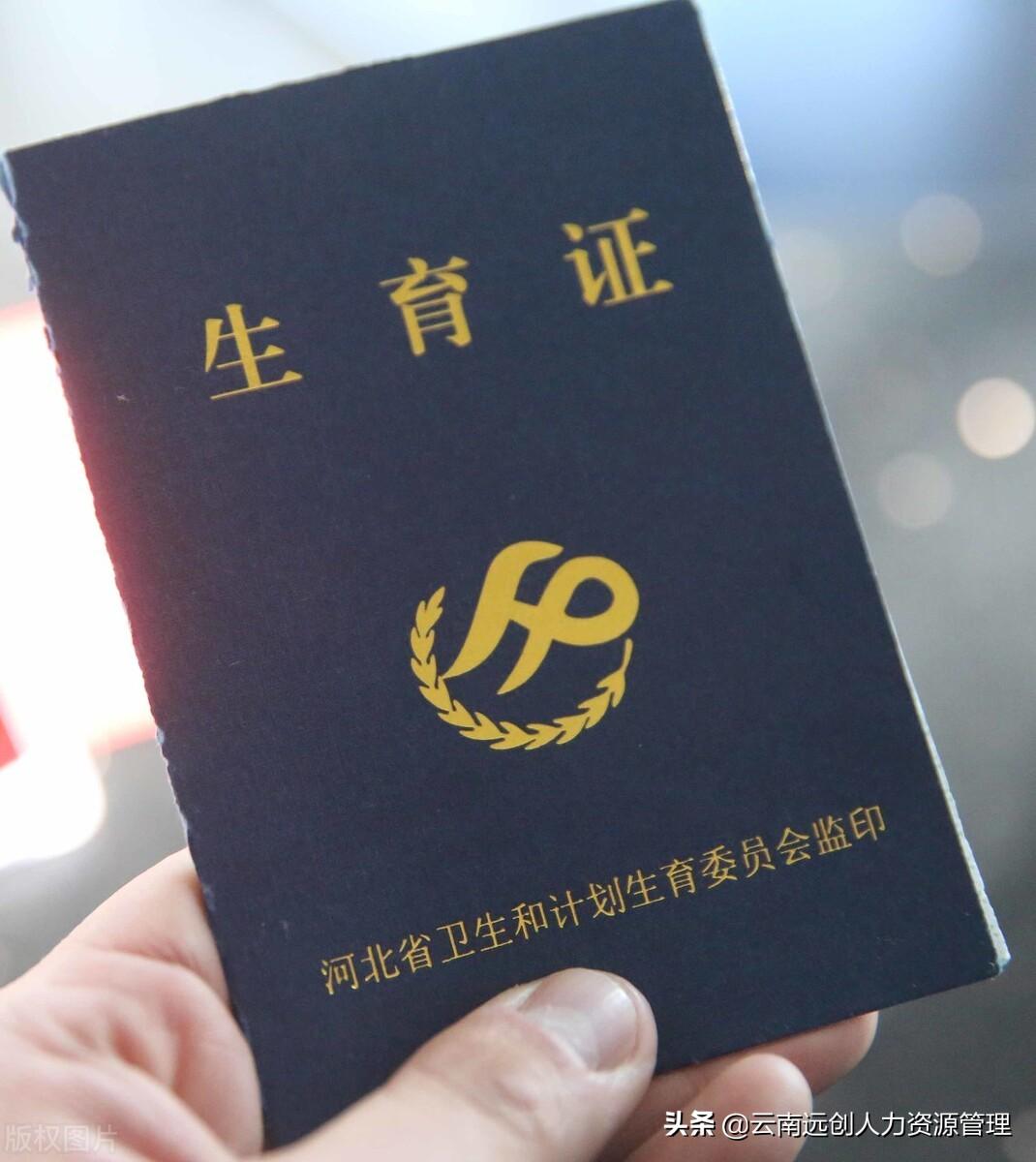 互联网服务 第1081页
