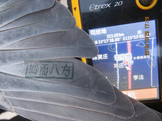 互联网信息服务 第1093页