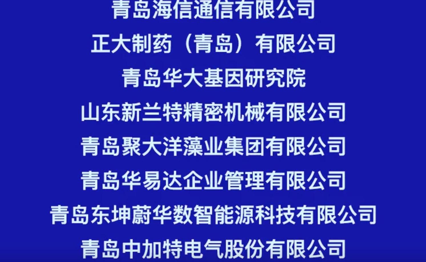 胶南信息网最新招聘，全面解析与观点阐述