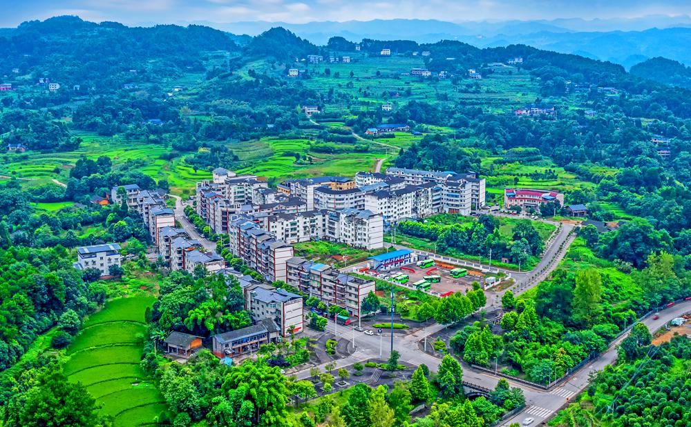 揭秘龙小山最新动态，全新故事一览无余