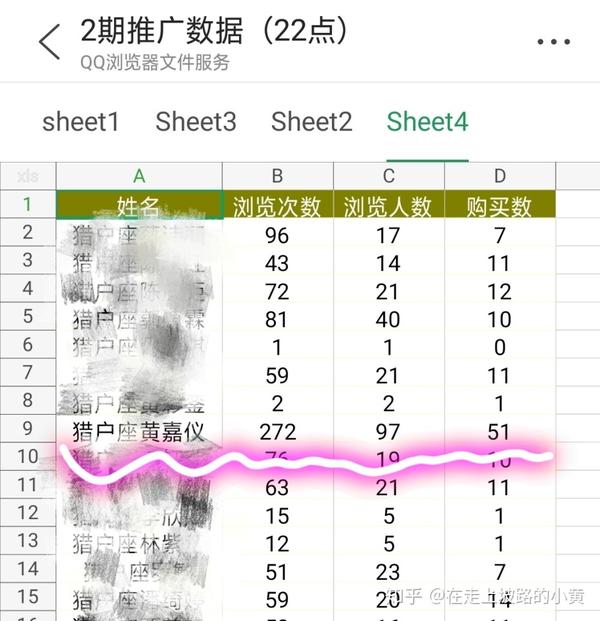 一肖一码一一肖一子，实地执行分析数据_NE版81.66.99