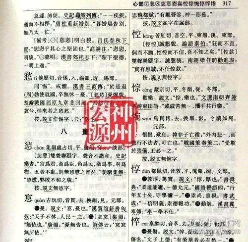 古代汉语词典最新版，探寻中华文化之根的宝藏