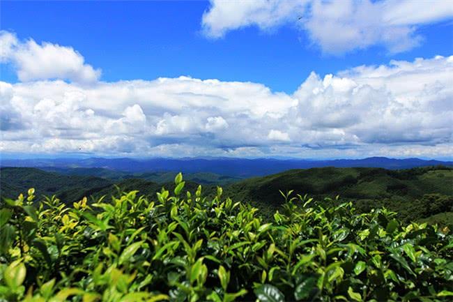 亚马逊最新动态，自然美景之旅，探索内心平和与宁静的治愈之旅