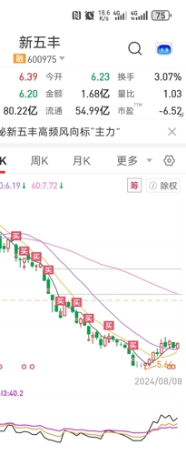 新五丰最新动态，深度分析与观点阐述