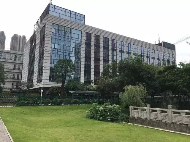 常山最新招工信息揭秘，小巷深处的职业机遇