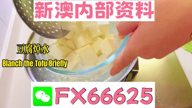新澳资彩长期免费资料港传真,动态词语解析_动漫版FHX411.92