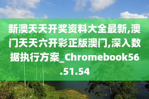 新澳六开彩天天开好彩大全53期,安全评估策略_解密版263.34