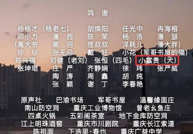 最准一码一肖100%精准老钱庄揭秘,专业执行问题_测试版144.21