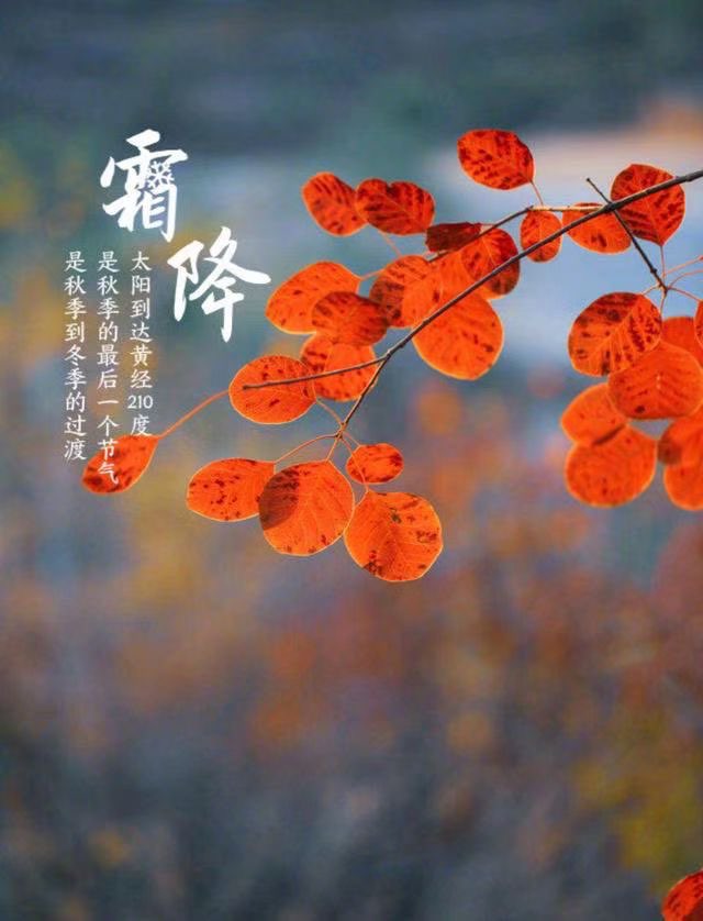 今日霜降，励志前行不止步