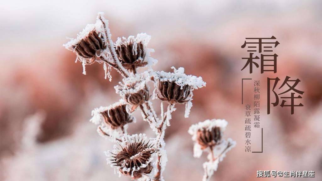 霜降时节健康饮食指南，探寻小巷美食，味蕾宝藏助你健康养生！