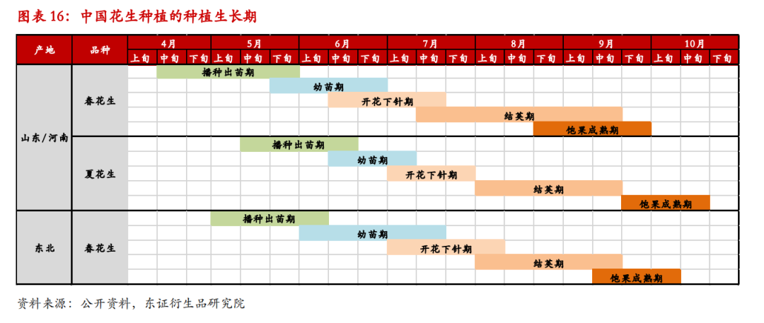 花生最新价格行情分析与趋势预测