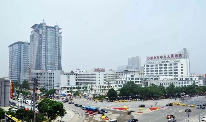 谷歌最新动态，温馨日常故事揭秘谷歌的日常魅力