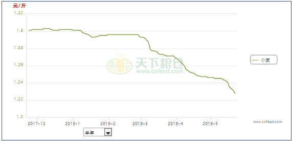 小麦价格最新走势及分析指南