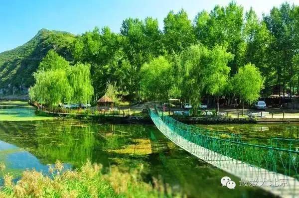 最新银园，自然美景的探索之旅