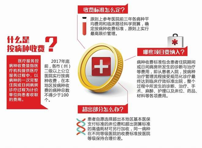 医改最新动态，全面指南与步骤解析