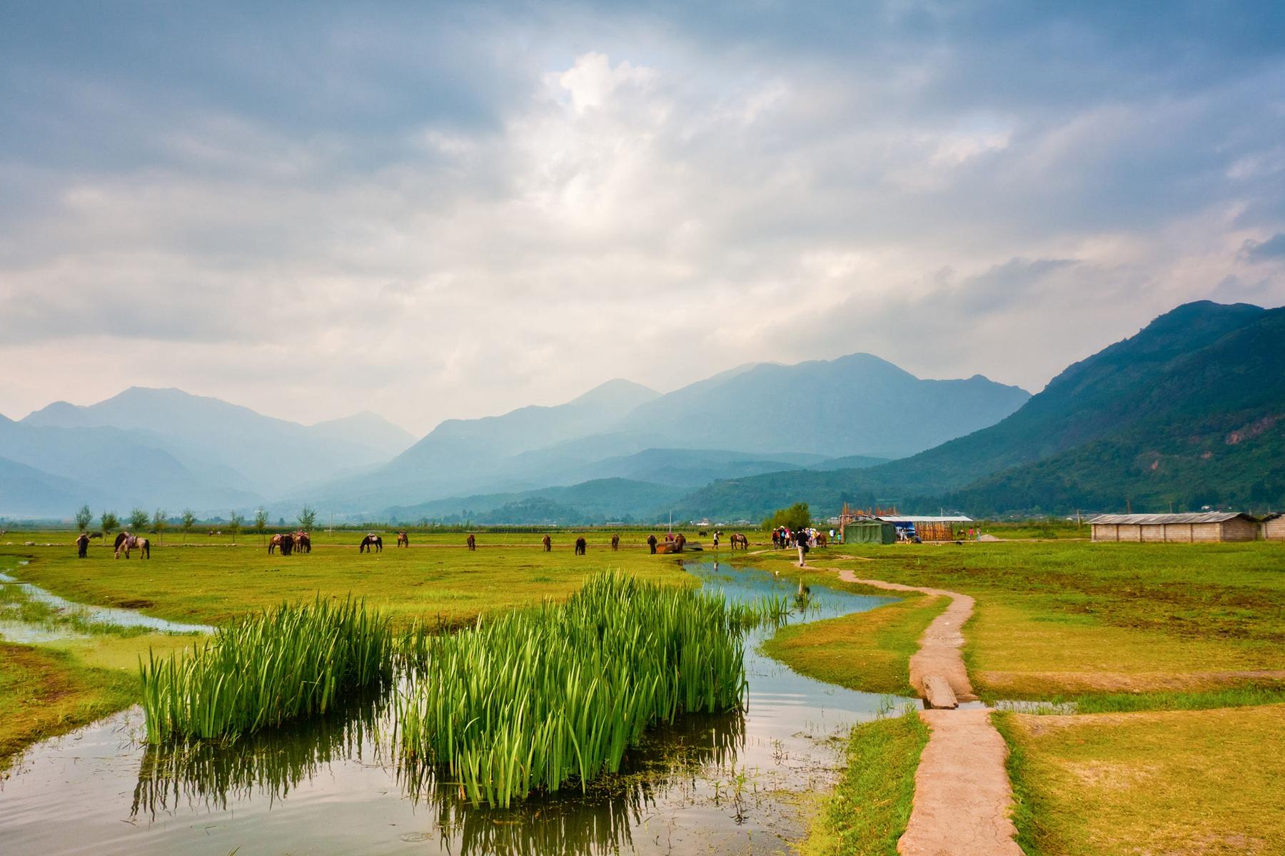 骑马与砍杀最新，自然美景的治愈之旅探索篇