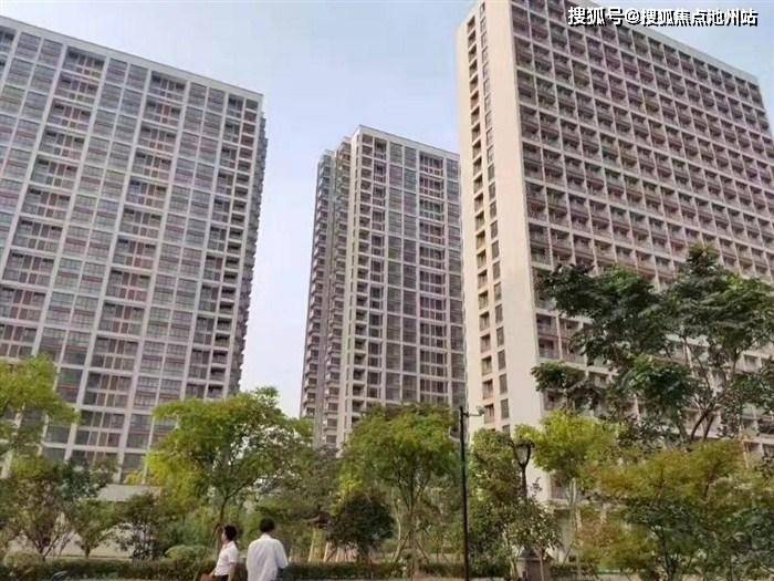 海盐人才网最新招聘动态及分析概览