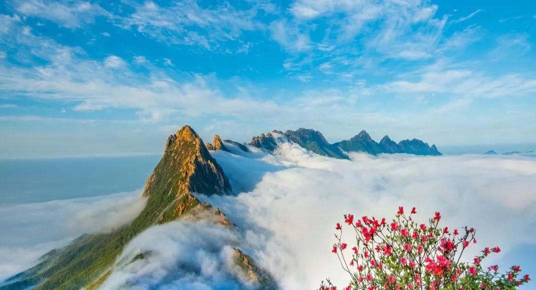 上饶最新招聘信息揭秘，小巷里的职业宝藏