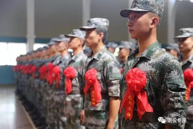 参战退役军人最新动态更新，最新消息汇总