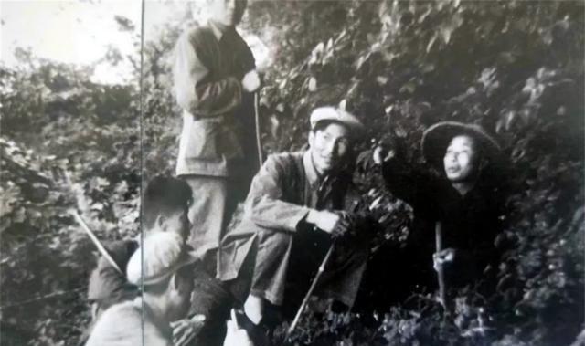 时代背景下的新篇章，最新版文档发布
