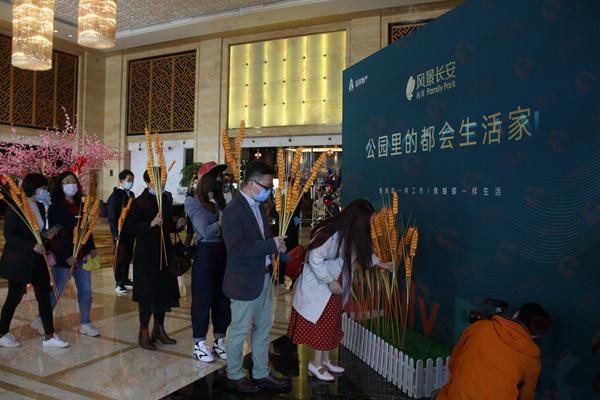 石家庄楼市最新价格及动态分析概述