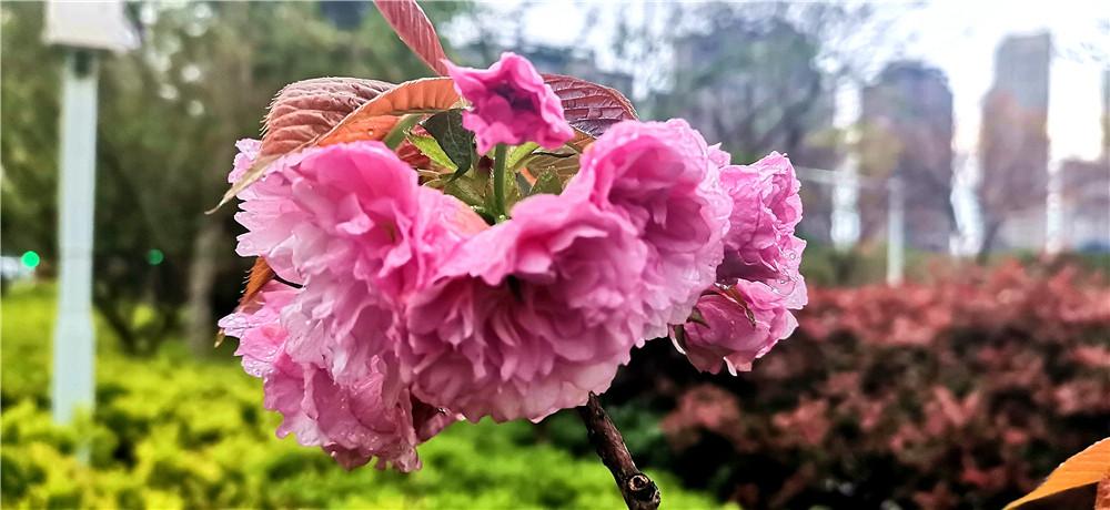 吉安县最新招聘信息概览，求职者的必读指南