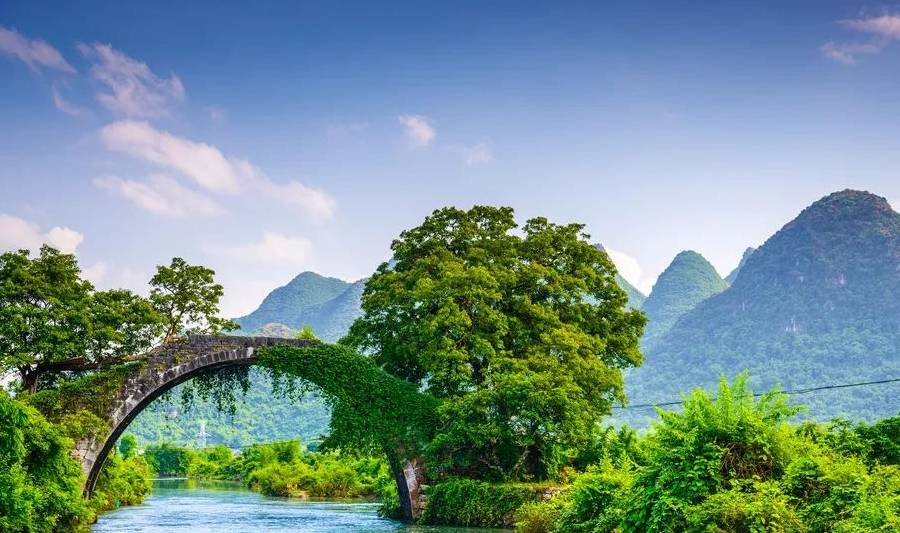 最新集卡,最新集卡，一场探索自然美景的旅行，寻找内心的平和宁静
